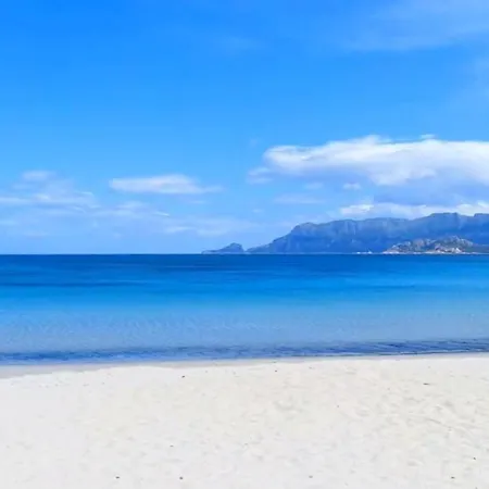 Mare 1